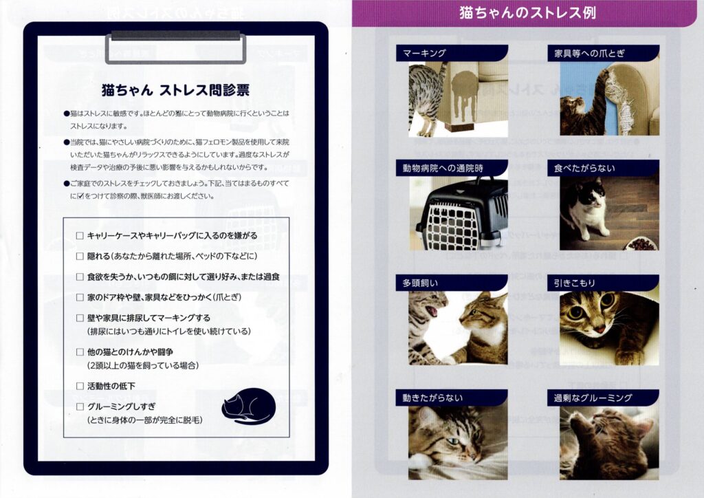 猫のストレスチェックリスト｜環境変化や通院ストレスでみられる行動の一例