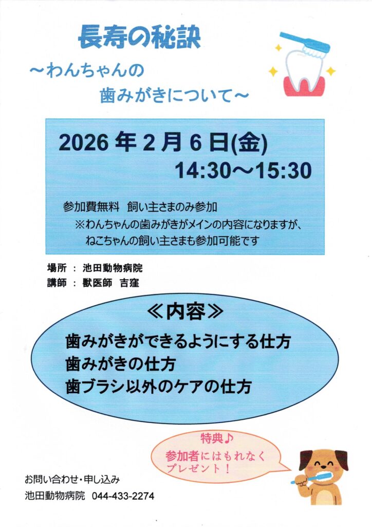 犬の歯みがきセミナーの案内｜池田動物病院ご長寿サポートセミナー