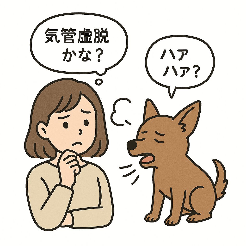 咳や呼吸の異常に戸惑う飼い主さんと犬（病気の見分けが難しい場面）