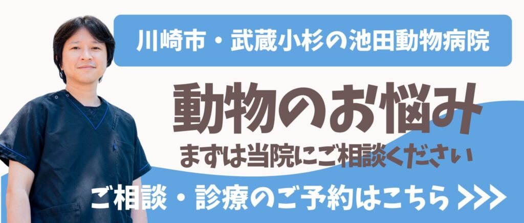 うさぎさんの消化管うっ滞（GIスタシス）など、エキゾチックアニマルの診療は池田動物病院へご相談ください（トップページへ）