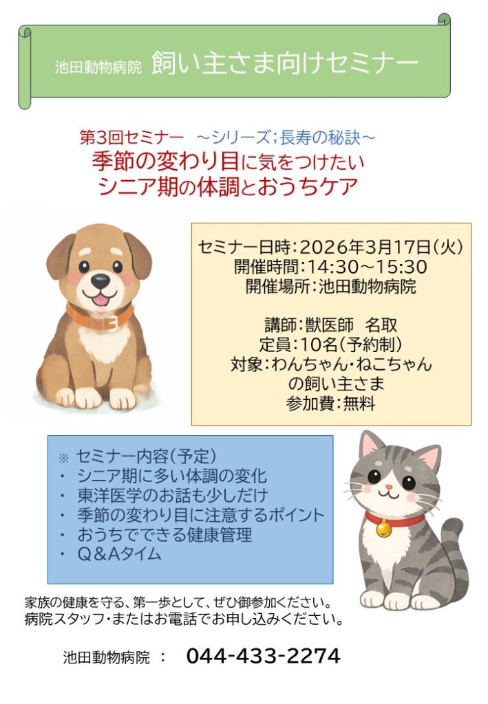 池田動物病院の院内セミナーポスター案内|季節の変わり目に気を付けたいシニア期の体調とおうちケア
