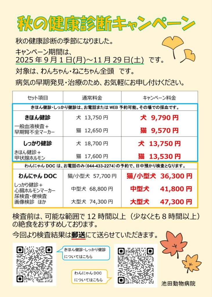 池田動物病院の秋の健康診断キャンペーン案内。2025年9月1日〜11月29日まで、犬猫向けの健診セットが特別価格で提供されます。
