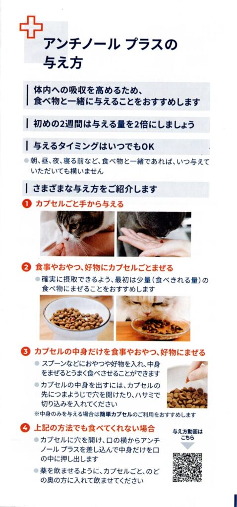 アンチノールプラスの与え方（猫用）。カプセルの開け方や与え方、フードへの混ぜ方を写真で解説。