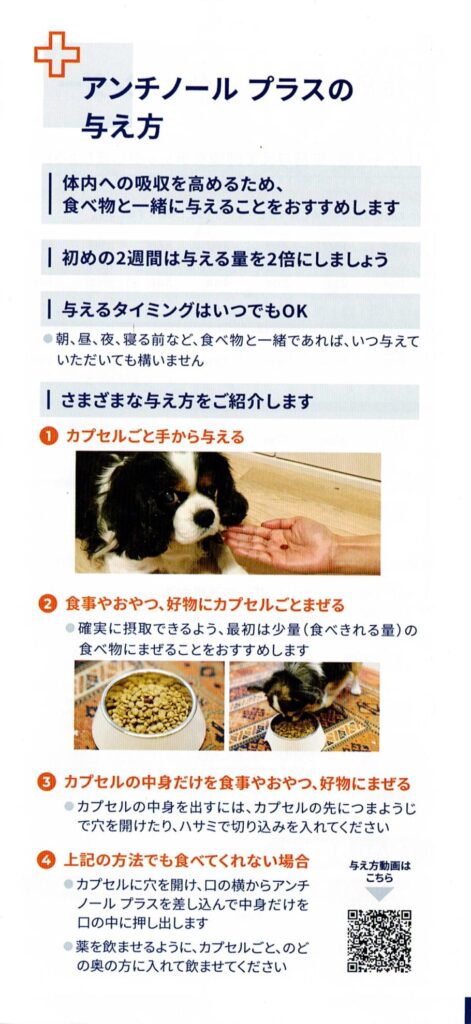 アンチノールプラスの与え方（犬用）。カプセルの与え方や食事への混ぜ方を写真付きで紹介。