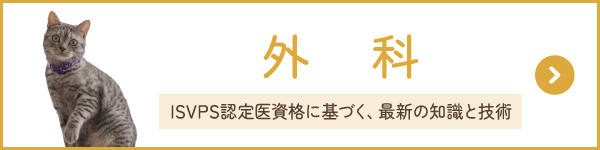 再診の知識と技術で行う外科治療