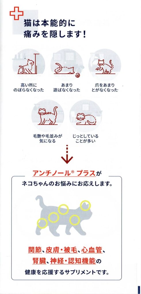 ネコちゃんの隠れた不調をケアするアンチノールプラスの紹介図。行動の変化と健康サポートの対応ポイントを解説。