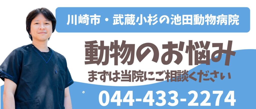 うさぎさんの診療・健康相談は044-433-2274まで