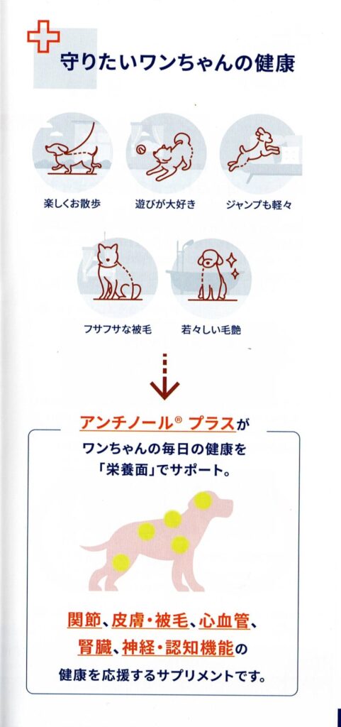 ワンちゃんの健康を守るアンチノールプラスの効能紹介図。関節・皮膚・毛並み・心臓・腎臓・神経・認知機能を栄養面でサポート。